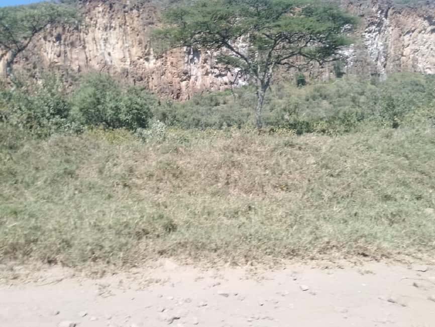 Day Trip: Hells Gate and optional Boat Ride at Lake Naivasha - Why This Tour Offers Great Value