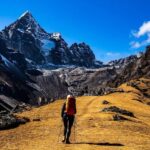 Day Trip Hiking Adventure to Mt. Kenya National Park - Why This Tour Offers Great Value