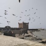 Day trip Marrakech to Essaouira - What to Expect in Essaouira