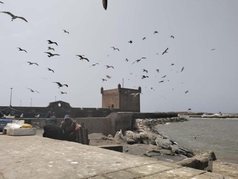 Day trip Marrakech to Essaouira - What to Expect in Essaouira