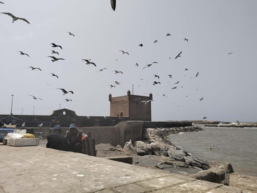Day trip Marrakech to Essaouira - What to Expect in Essaouira
