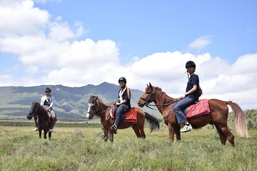 Day Trip: Mount Longonot Hike and Lake Naivasha Boat Ride - Why This Tour Is Worth It