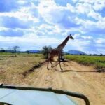 Day Trip Safari from zanzibar to mikumi using ferry and SGR - Detailed Breakdown of the Experience