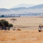 Day trip safari to Ngorongoro Crater - The Sum Up