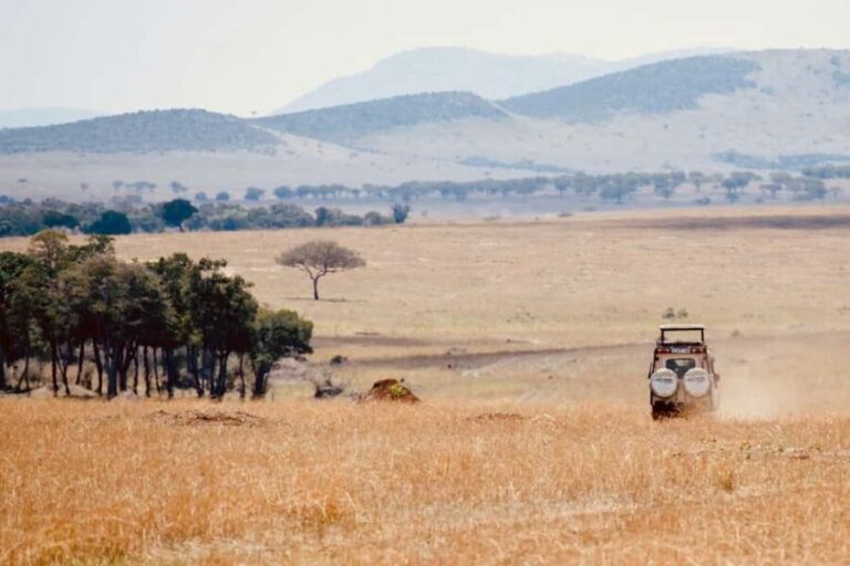 Day trip safari to Ngorongoro Crater - The Sum Up