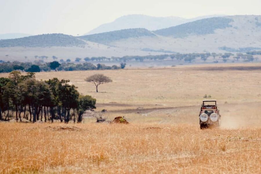 Day trip safari to Ngorongoro Crater - The Sum Up