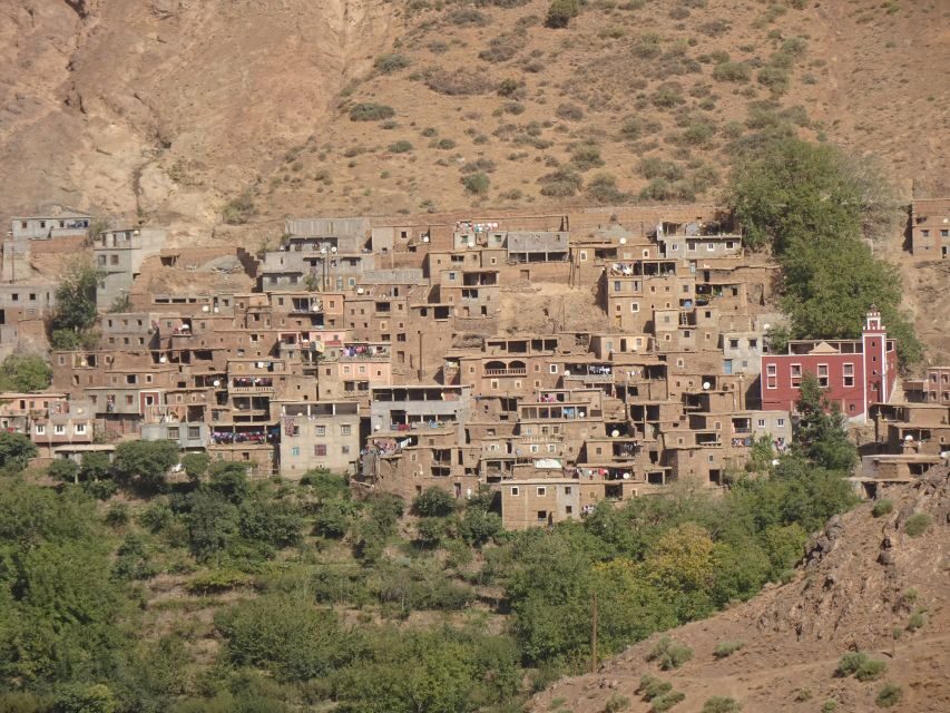 Day Trip To Atlas Mountain and Berber Village From Marrakech - Visiting the Argan Oil Cooperative