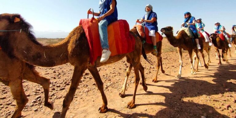 Day Trip to Atlas Mountains, Camel Ride, And Berber Villages - Practical Details and Tips