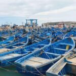 Day trip to Essaouira - The Experience: What Makes It Special