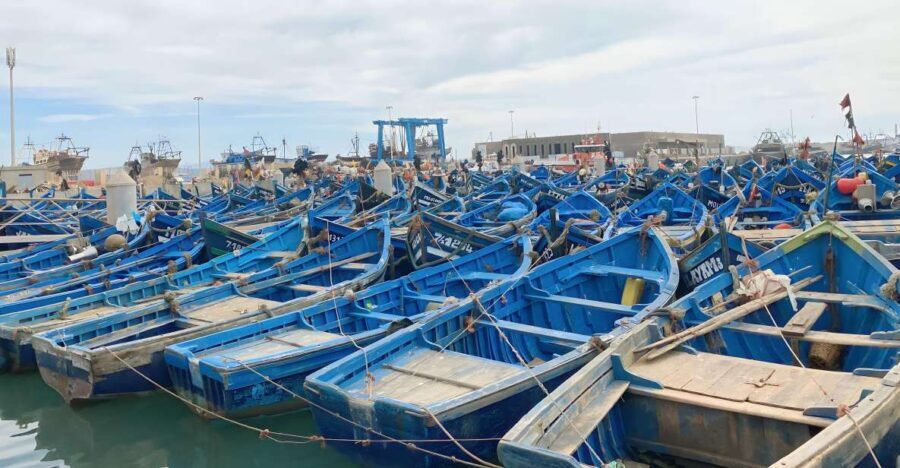 Day trip to Essaouira - The Experience: What Makes It Special