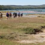 Day Trip to Lake Elementaita & Lake Naivasha from Nairobi - Practical Details and What You’ll Get