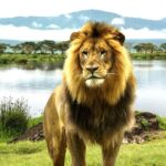 Day trip to Lake Nakuru National Park from Nairobi - Who Is This Tour Best For?