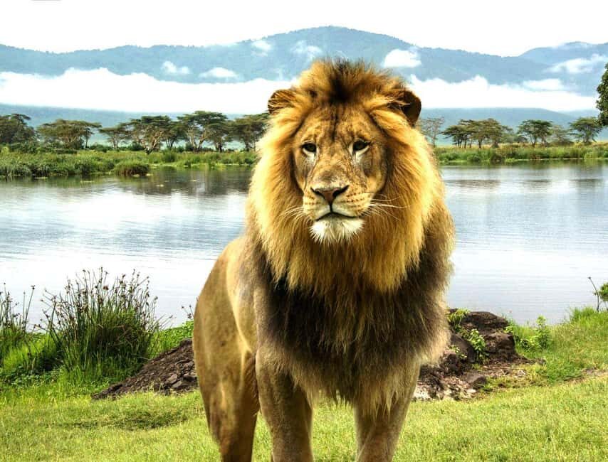 Day trip to Lake Nakuru National Park from Nairobi - Who Is This Tour Best For?