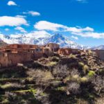 Day Trip to Ourika Valley & Atlas Mountains with Lunch - The Practical Side: Transport, Guides, and Value