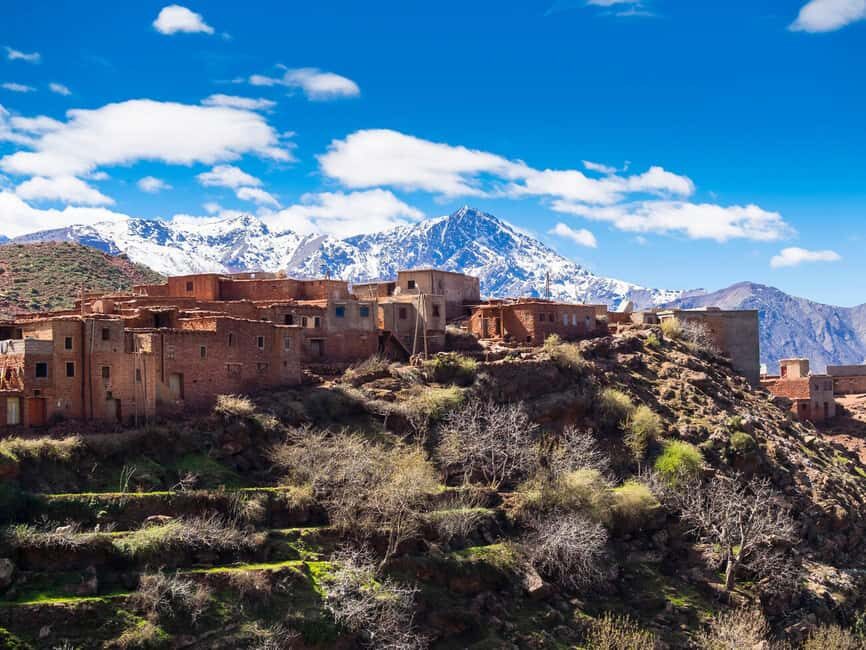 Day Trip to Ourika Valley & Atlas Mountains with Lunch - The Practical Side: Transport, Guides, and Value