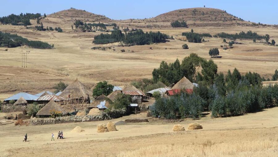 Day Trip To See Monastrys,Amazing landscapes & Animals - Exploring Debre Libanos Monastery
