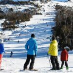 Day Trip To Snowy Mountains From Sydney - Transportation, Timing, and Comfort