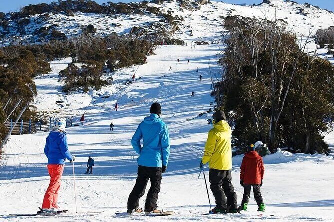 Day Trip To Snowy Mountains From Sydney - Transportation, Timing, and Comfort