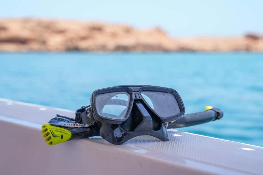 Daymaniat Journey: Group Tour with Snorkeling - Why Choose This Tour?