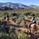 De Rust: Stompdrift Trail - Horse Riding Experience - Why This Experience Offers Great Value