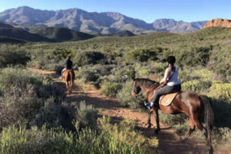De Rust: Stompdrift Trail - Horse Riding Experience - Why This Experience Offers Great Value