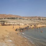 Dead Sea Full-Day Tour from Amman - An In-Depth Look at the Dead Sea Tour Experience