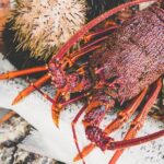 Deep-to-Dish: Tasmanian Seafood Experience - Who Will Love This Tour