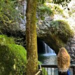 Deluxe Tamborine & Springbrook Day Tour with Skywalk & Glow Worms - Transportation and Group Size
