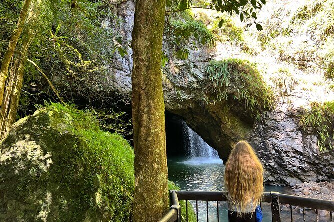 Deluxe Tamborine & Springbrook Day Tour with Skywalk & Glow Worms - Transportation and Group Size