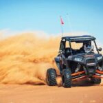 Desert Safari,Inland Sea Tour Including CamelRide & Transfer - Comparing Value and Experience