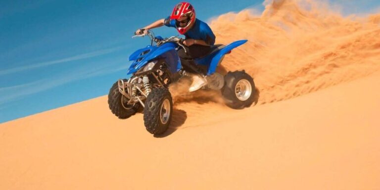 Desert tour dinner show & camel ride with sunset views - What Makes This Tour Stand Out?
