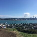Devonport Volcanoes Afternoon Tour from Auckland - Who Would Love This Tour?