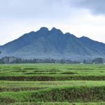 Dian Fossey Museum - What You Can Expect Inside the Museum