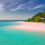 Diani Beach: Funzi Island Day Trip with Lunch - Transportation & Group Size