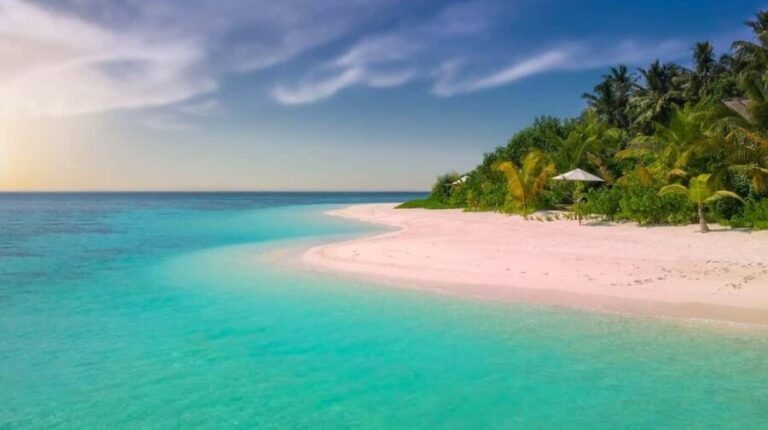 Diani Beach: Funzi Island Day Trip with Lunch - Transportation & Group Size