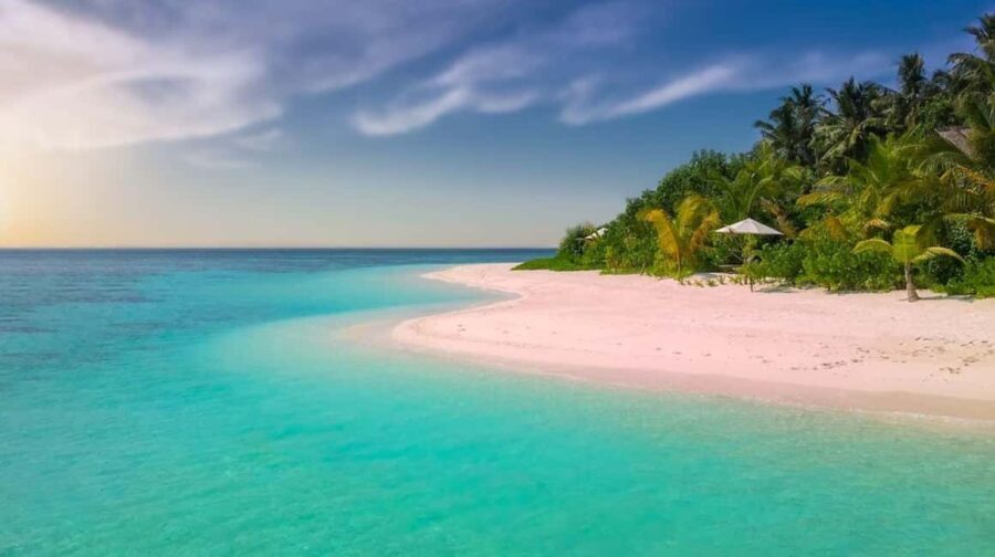 Diani Beach: Funzi Island Day Trip with Lunch - Transportation & Group Size