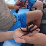 Diani Beach: Glass-Bottom Boat Cruise to Robinson Island - Final Thoughts