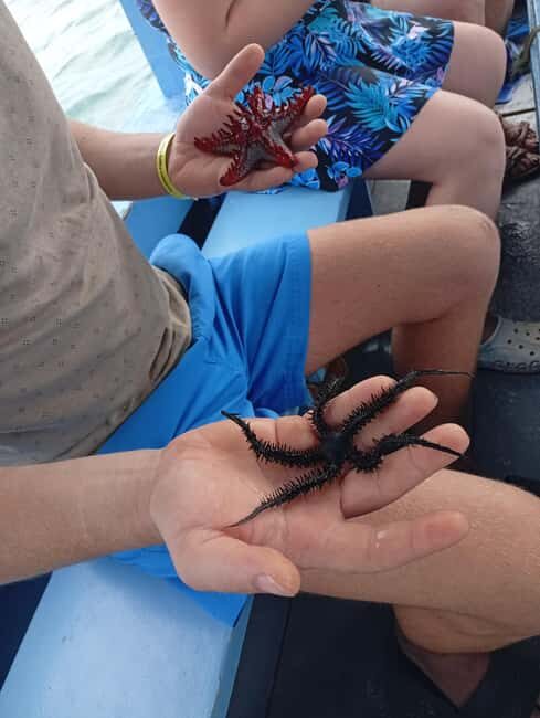 Diani Beach: Glass-Bottom Boat Cruise to Robinson Island - Final Thoughts
