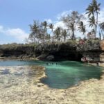 Diani: Full day Guided tour in Tiwi beach & Diani - What’s Included and What to Expect
