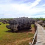 Diani: Kisite Mpunguti Marine Park with Lunch - Culinary Delights on the Water