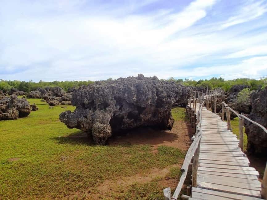 Diani: Kisite Mpunguti Marine Park with Lunch - Culinary Delights on the Water