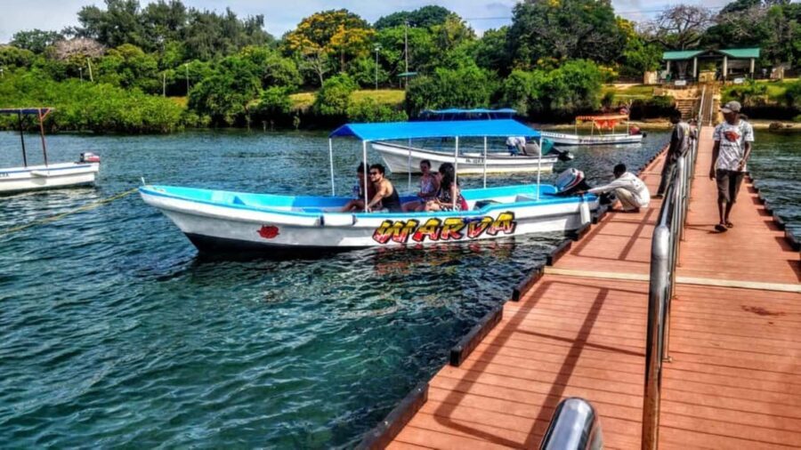 Diani: Kisite Private Boat Tour with Snorkeling and Lunch - The Itinerary Breakdown: What to Expect