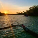 Diani: Sunset Canoe Tour along the River with Mangroves - Final Thoughts