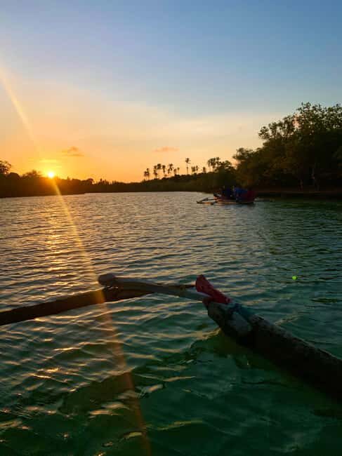 Diani: Sunset Canoe Tour along the River with Mangroves - Final Thoughts