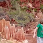 Diego Suarez (Antsiranana): Red Tsingy Half-Day Tour - Why This Tour Offers Great Value