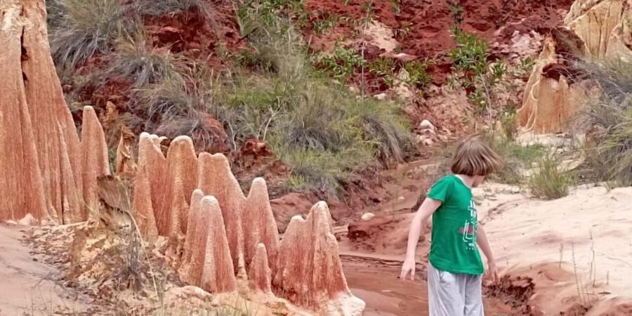 Diego Suarez (Antsiranana): Red Tsingy Half-Day Tour - Why This Tour Offers Great Value