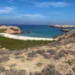 Dimaniyat Island: 5-Hour Snorkeling Adventure - Why Choose the Dimaniyat Island Snorkeling Tour?