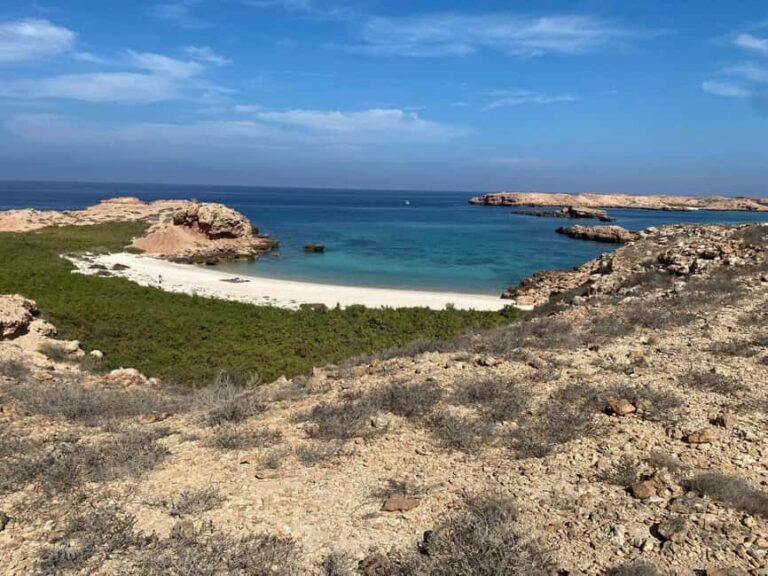 Dimaniyat Island: 5-Hour Snorkeling Adventure - Why Choose the Dimaniyat Island Snorkeling Tour?