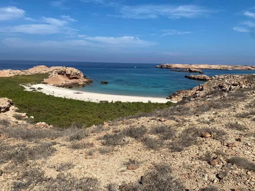 Dimaniyat Island: 5-Hour Snorkeling Adventure - Why Choose the Dimaniyat Island Snorkeling Tour?