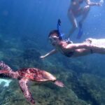 Dimaniyat Islands Snorkeling Trip - Who Is This Tour Best For?